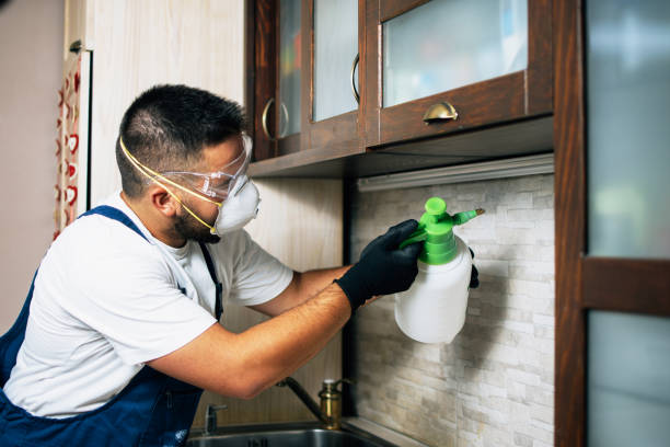 Best Commercial Pest Control Services  in Forest Acres, SC