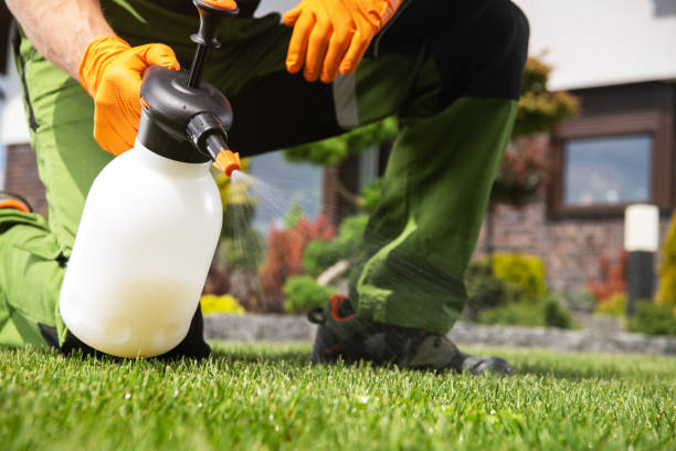 Best Termite Control Services  in Forest Acres, SC