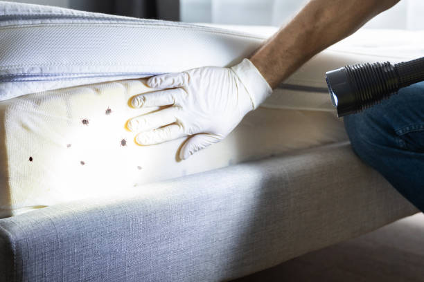 Best Rat Extermination Near Me  in Forest Acres, SC