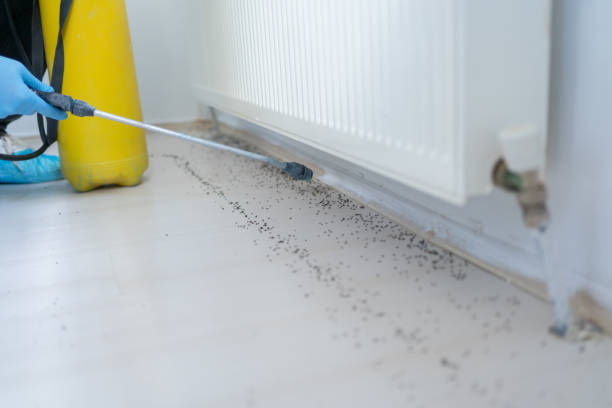 Best Residential Pest Control  in Forest Acres, SC